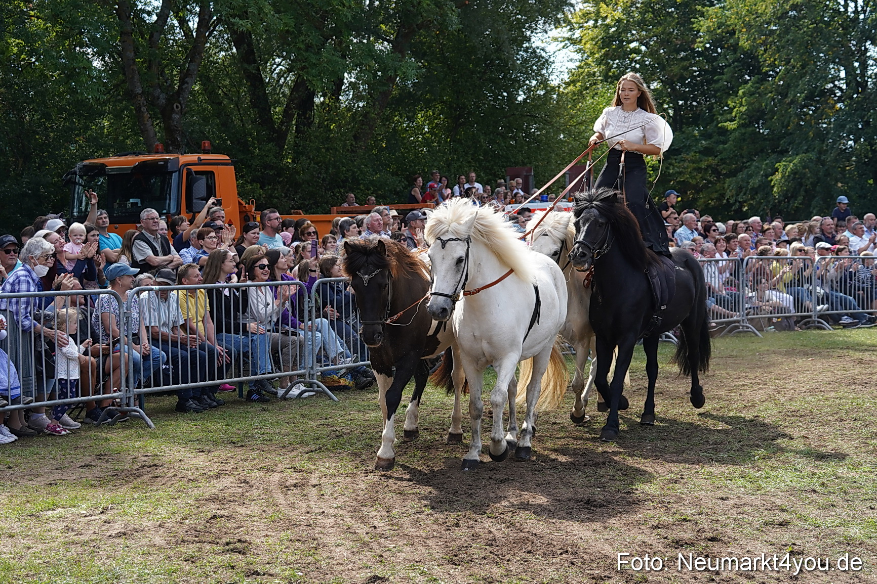 Pferde und Fohlenschau 2022 0277 